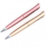 Souvenir Gift Plastic Ballpoint Pen