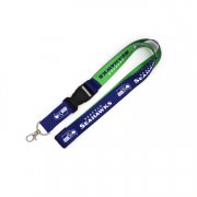 Lanyard With Climbing Carabiner