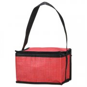 Non-Woven Lunch Cooler