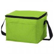 Non-Woven Lunch Cooler Bag