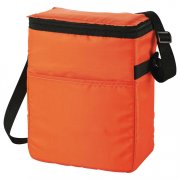 New Design Cooler Bag