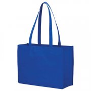 Shopper Tote Bag